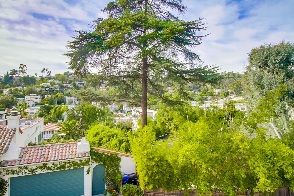 2542-verbena-dr-054_web